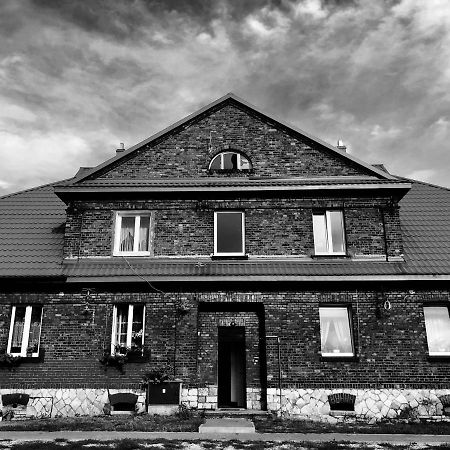 White House - Silesian Loft Apartment Dąbrowa Górnicza Dış mekan fotoğraf