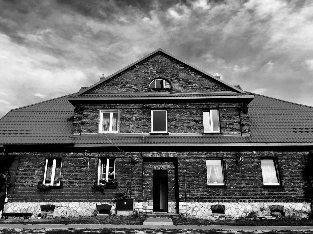 White House - Silesian Loft Apartment Dąbrowa Górnicza Dış mekan fotoğraf